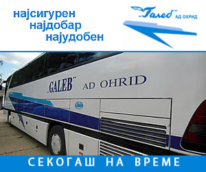 Galeb