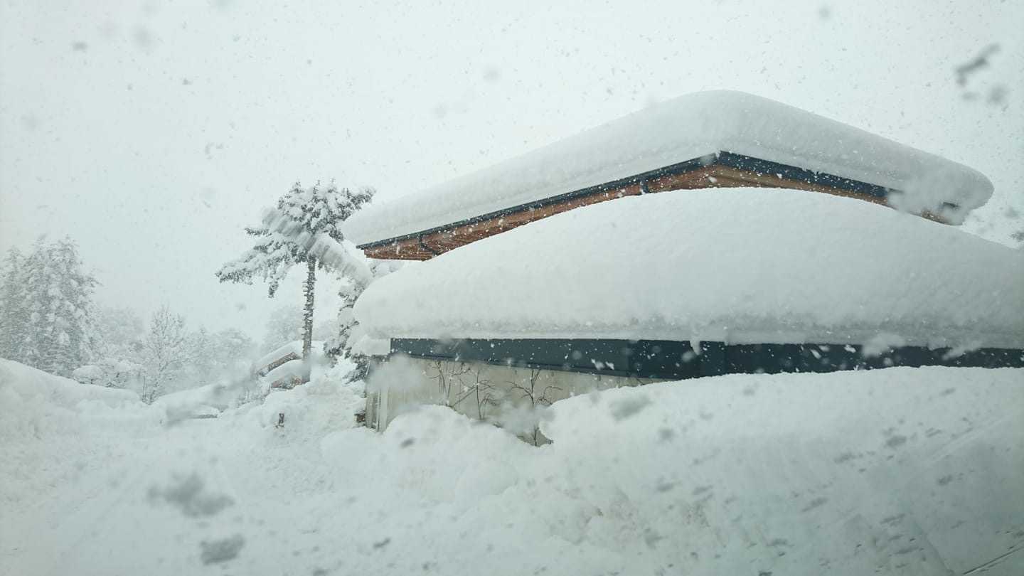 Выпал снег в феврале. В Италии выпал снег. Снежные заносы фото стихийное бедствие. Стихийное бедствие снежные заносы где укрыться. Весь снег здесь.