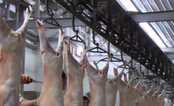 Серафимов: Цената на месото не е зголемена за Велигден