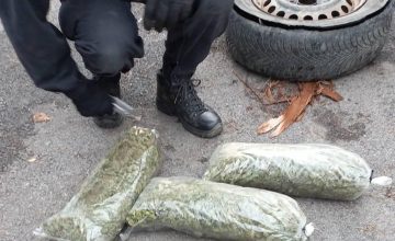 На граничниот премин Ќафасан спречен шверц на 53,3 килограми марихуана наменета за македонскиот пазар
