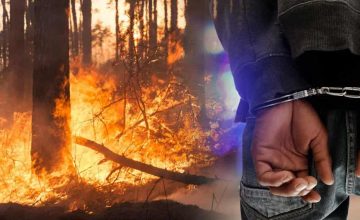32 поднесени кривични пријави до сега во врска со пожари на отворен простор, лишени од слобода 56 лица