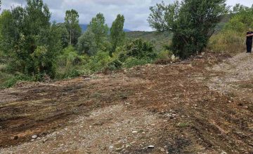 Акција за пошумување во опфатот на Белчишкото Блато