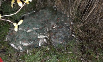 Фатени рибокрадци кои не ја почитувале тековната забрана за риболов на охридска белвица и пастрмка