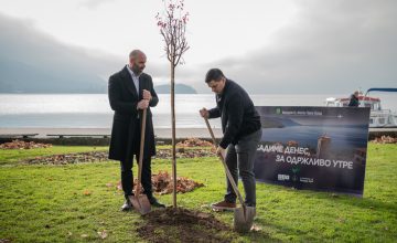 Фото: Центарот на Охрид озеленет со 20 нови дрвца