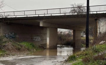 (Видео) Реката Далјан излеана од коритото на повеќе места, поплавени куќи и улици (дпл)