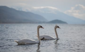 Денеска сончево од утре променливо со услови за слаб дожд
