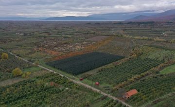 Светски ден на метеорологијата: Mакедонското земјоделство веќе ја живее климатската криза
