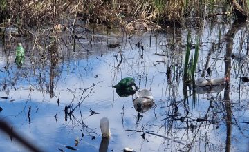 Отпад наместо природа: Студенчишкото блато бара грижа од човечка негрижа