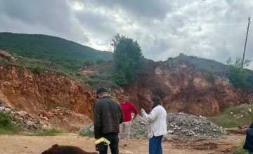 Отстрането угинато животно кај изворите Шум, надлежните посочуваат изворите не се во опасност